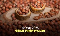 15 Ocak 2025 Güncel Fındık Fiyatları