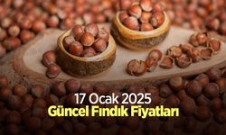 17 Ocak 2025 Güncel Fındık Fiyatları