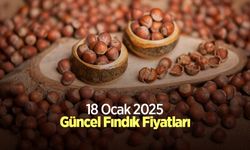 18 Ocak 2025 Güncel Fındık Fiyatları