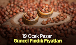 19 Ocak 2025 Güncel Fındık Fiyatları