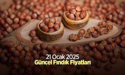 21 Ocak 2025 Güncel Fındık Fiyatları