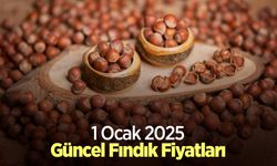 1 Ocak 2025 Güncel Fındık Fiyatları