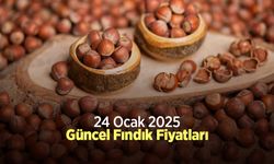 24 Ocak 2025 Güncel Fındık Fiyatları