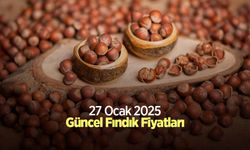 27 Ocak 2025 Güncel Fındık Fiyatları