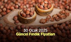 30 Ocak 2025 Güncel Fındık Fiyatları