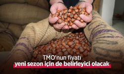 TMO'nun fiyatı yeni sezon için de belirleyici olacak