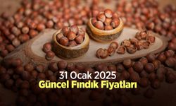 31 Ocak 2025 Güncel Fındık Fiyatları