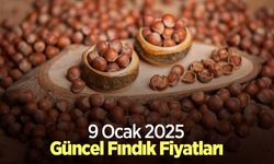 9 Ocak 2025 Güncel Fındık Fiyatları