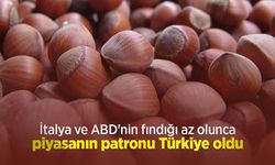 Fındık piyasasında gözler Türkiye'de İtalya ve ABD'nin fındığı az olunca piyasanın patronu Türkiye oldu