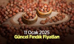 11 Ocak 2025 Güncel Fındık Fiyatları