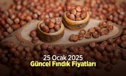 25 Ocak 2025 Güncel Fındık Fiyatları