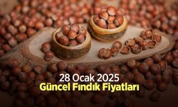 28 Ocak 2025 Güncel Fındık Fiyatları