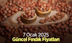 7 Ocak 2025 Güncel Fındık Fiyatları