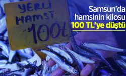 Samsun'da hamsinin kilosu 100 TL'ye düştü