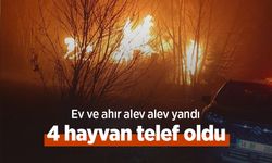 Ev ve ahır alev alev yandı: 4 hayvan telef oldu