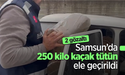 Samsun’da 250 kilo kaçak tütün ele geçirildi:2 gözaltı