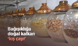 Bağışıklığa doğal kalkan ‘kış çayı'