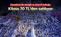 Karadeniz’de mezgit ve istavrit bolluğu, kilosu 70 TL'den satılıyor