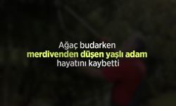 Ağaç budarken merdivenden düşen yaşlı adam hayatını kaybetti