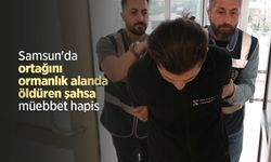 Samsun'da ortağını ormanlık alanda öldüren şahsa müebbet hapis