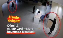 Lisede dehşet! Öğrenci, müdür yardımcısını boynunda bıçakladı