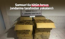 Samsun'da tütün hırsızı jandarma tarafından yakalandı