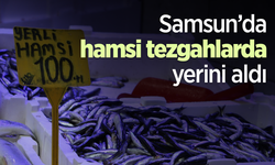 Samsun’da hamsi tezgahlarda yerini aldı