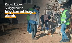 Kuduz köpek 3 kişiyi ısırdı: köy karantinaya alındı