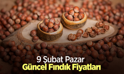 9 Şubat 2025 Güncel Fındık Fiyatları