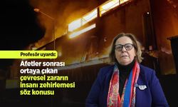 Profesör uyardı: "Afetler sonrası ortaya çıkan çevresel zararın insanı zehirlemesi söz konusu"