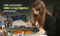 Atık camlardan bitki ve kuş figürleri yapıyorlar