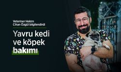 Veteriner Hekim Cihan Özgül bilgilendirdi: Yavru kedi ve köpek bakımı