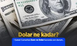 1 Şubat Cumartesi Euro ve Dolar kurunda son durum