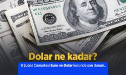 8 Şubat Cumartesi Euro ve Dolar kurunda son durum