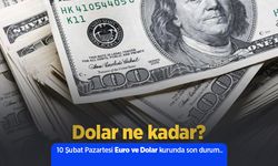 10 Şubat Pazartesi Euro ve Dolar kurunda son durum