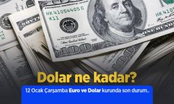 12 Şubat Çarşamba Euro ve Dolar kurunda son durum