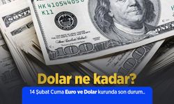 14 Şubat 2025 Güncel Dolar ve Euro Kuru: Anlık Döviz Fiyatları