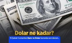 15 Şubat 2025 Güncel Dolar ve Euro Kuru: Anlık Döviz Fiyatları