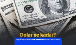 18 Şubat 2025 Güncel Dolar ve Euro Kuru: Anlık Döviz Fiyatları