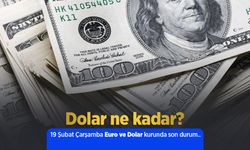 19 Şubat 2025 Güncel Dolar ve Euro Kuru: Anlık Döviz Fiyatları