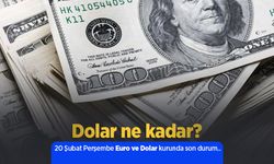 20 Şubat 2025 Güncel Dolar ve Euro Kuru: Anlık Döviz Fiyatları