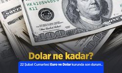 22 Şubat 2025 Güncel Dolar ve Euro Kuru: Anlık Döviz Fiyatları