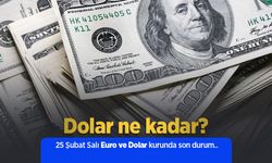 25 Şubat 2025 Güncel Dolar ve Euro Kuru: Anlık Döviz Fiyatları