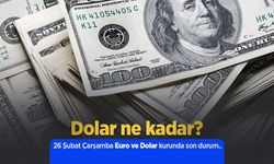 26 Şubat 2025 Güncel Dolar ve Euro Kuru: Anlık Döviz Fiyatları