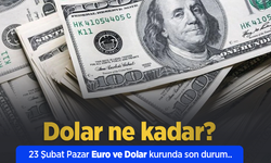 23 Şubat 2025 Güncel Dolar ve Euro Kuru: Anlık Döviz Fiyatları