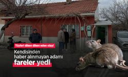 Tüyleri diken diken eden olay! Kendisinden haber alınmayan adamı fareler yedi