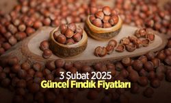 3 Şubat 2025 Güncel Fındık Fiyatları