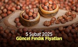 5 Şubat 2025 Güncel Fındık Fiyatları