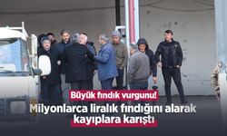 Büyük fındık vurgunu! Milyonlarca liralık fındığını alarak kayıplara karıştı