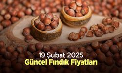 19 Şubat 2025 Güncel Fındık Fiyatları